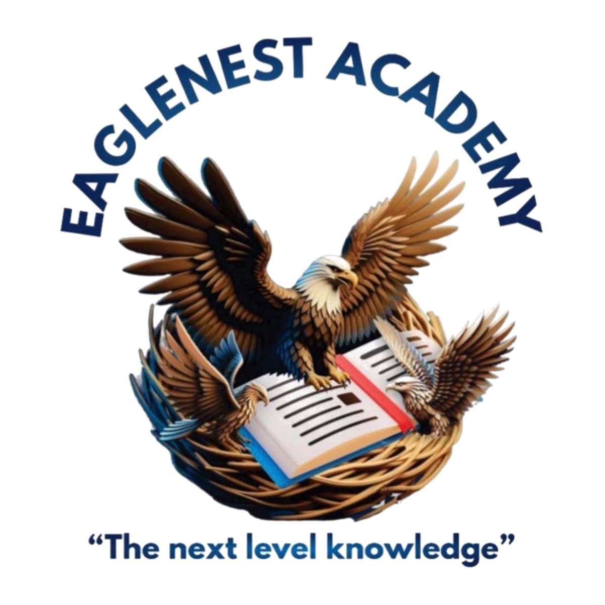 Academy Division logo